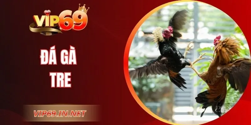 Đá Gà Tre VIP69 - Kỹ Thuật, Cửa Cược Và Mẹo Chọn Chiến Kê Đá Gà Tre VIP69 - Kỹ Thuật, Cửa Cược Và Mẹo Chọn Chiến Kê